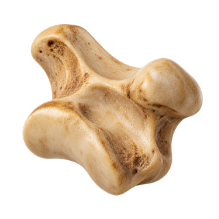 The Chance Bone