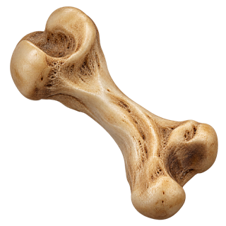 The Resistance Bone